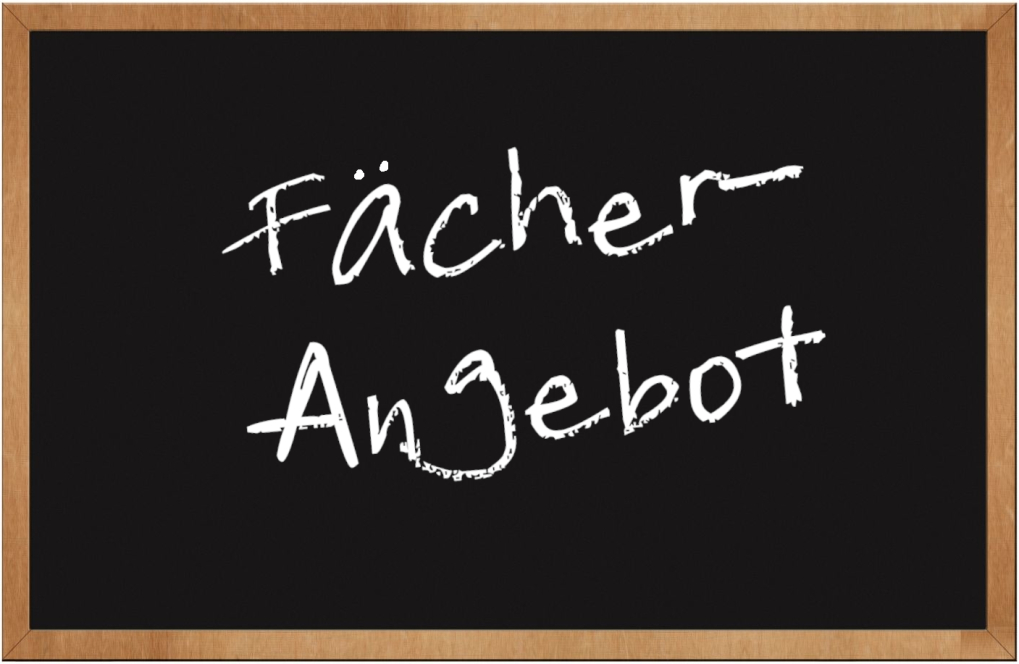 Fächer-Angebot